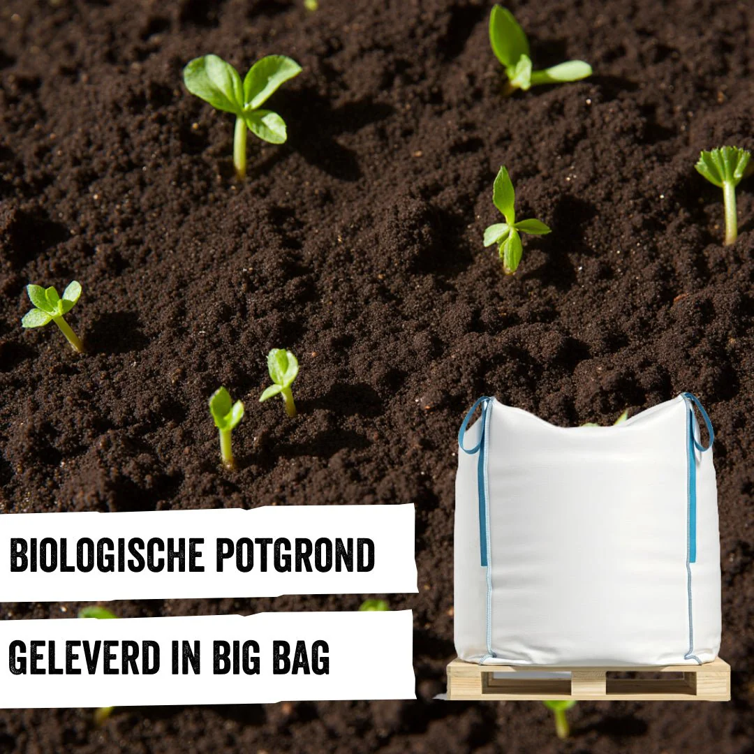 Productafbeelding 1