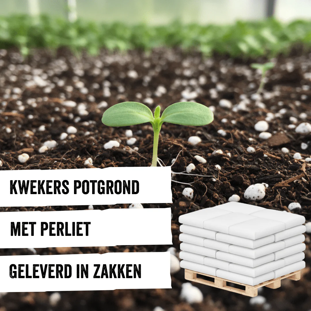 Productafbeelding 1