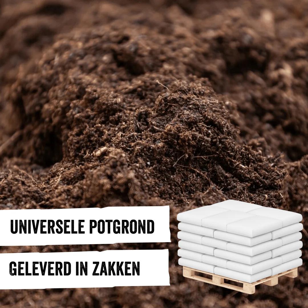 Productafbeelding 1